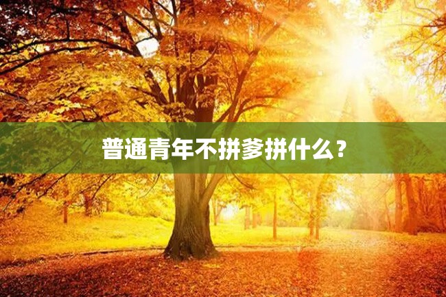 普通青年不拼爹拼什么?