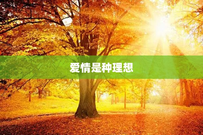 爱情是种理想