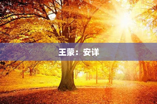 王蒙:安详