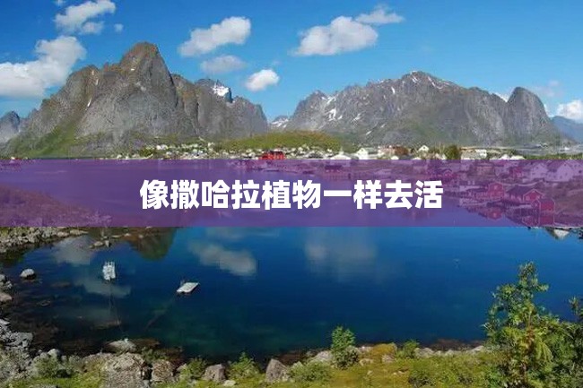 像撒哈拉植物一样去活
