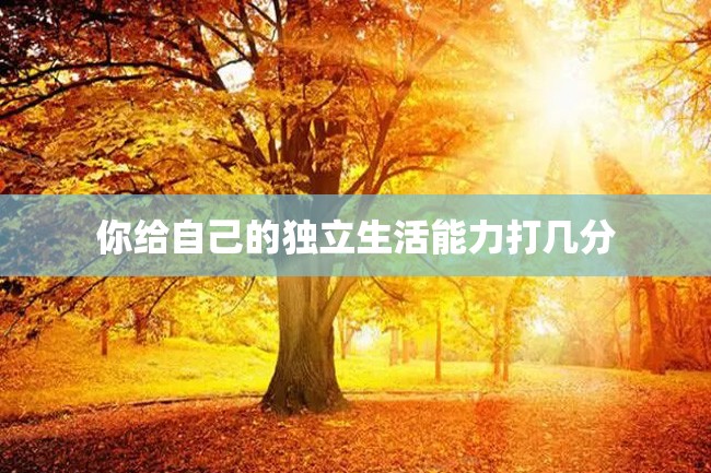 你给自己的独立生活能力打几分