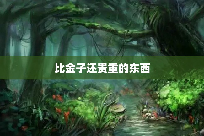 比金子还贵重的东西