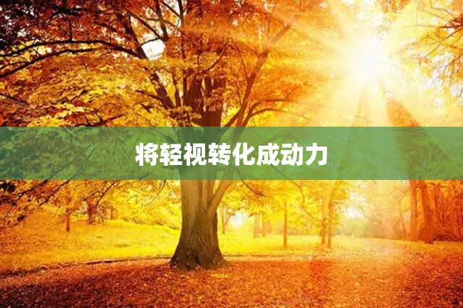 将轻视转化成动力
