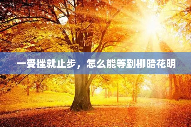 一受挫就止步,怎么能等到柳暗花明