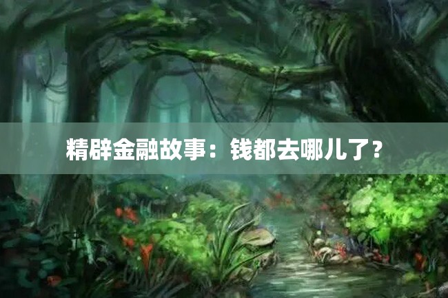 精辟金融故事:钱都去哪儿了?