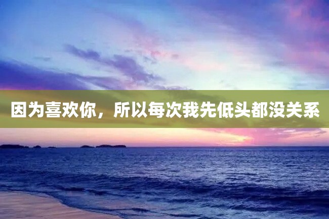 因为喜欢你,所以每次我先低头都没关系