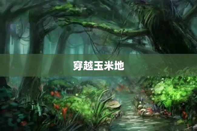 穿越玉米地