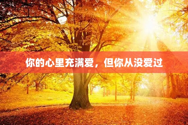 你的心里充满爱,但你从没爱过