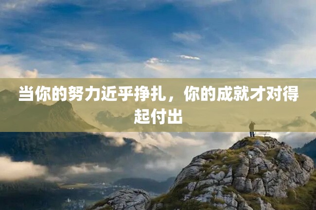 当你的努力近乎挣扎,你的成就才对得起付出