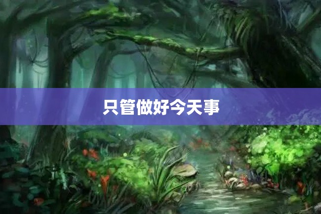 只管做好今天事