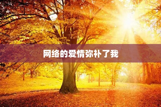 网络的爱情弥补了我