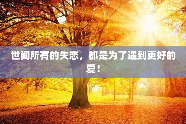 世间所有的失恋,都是为了遇到更好的爱!