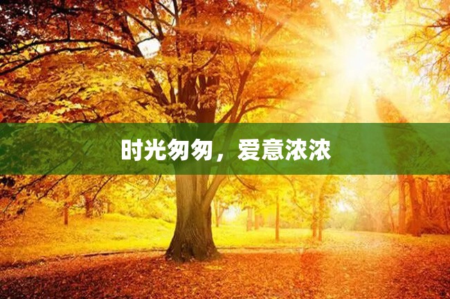 时光匆匆,爱意浓浓