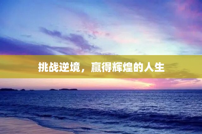 挑战逆境,赢得辉煌的人生
