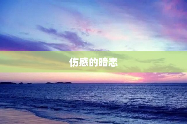 伤感的暗恋