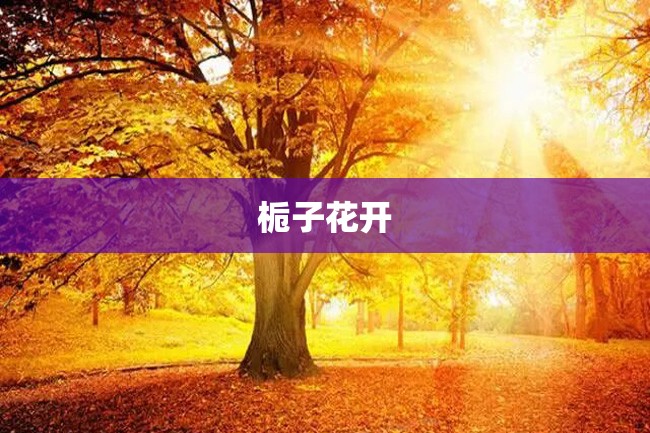 栀子花开