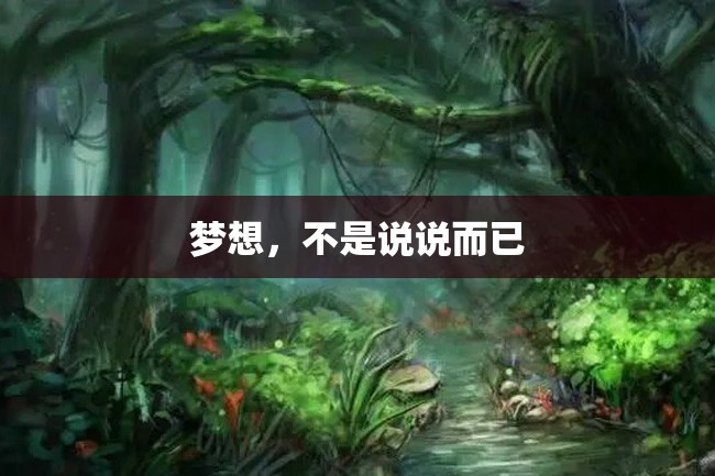 梦想,不是说说而已