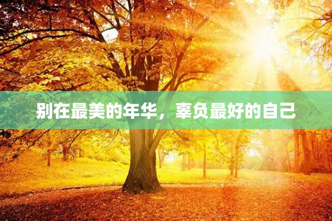 别在最美的年华,辜负最好的自己