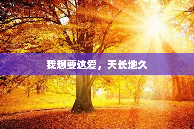 我想要这爱,天长地久