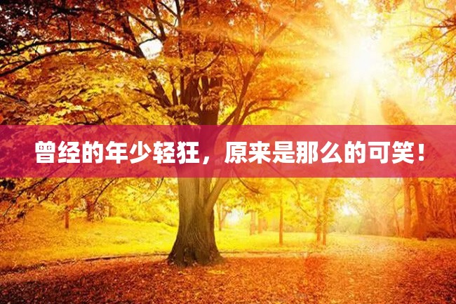 曾经的年少轻狂,原来是那么的可笑!