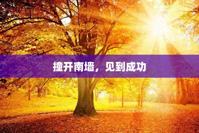 撞开南墙,见到成功