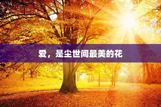 爱,是尘世间最美的花