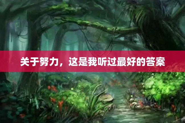 关于努力,这是我听过最好的答案