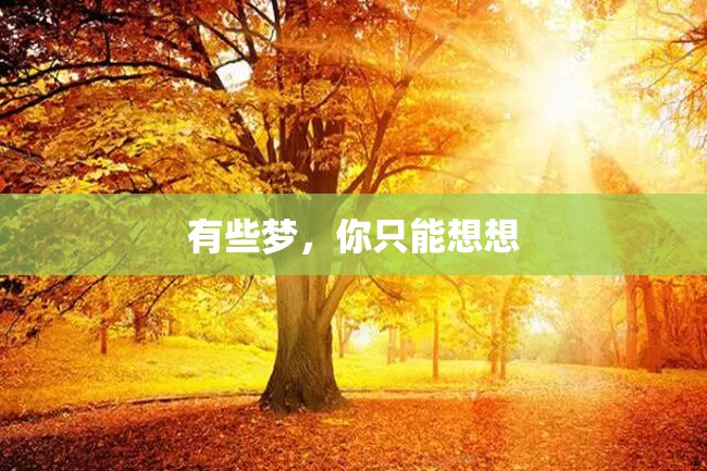 有些梦,你只能想想