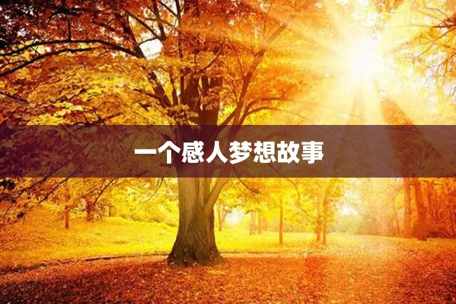 一个感人梦想故事