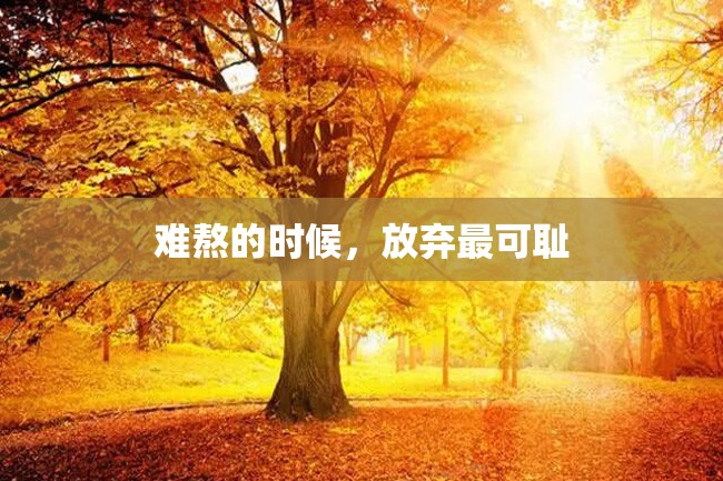 难熬的时候,放弃最可耻