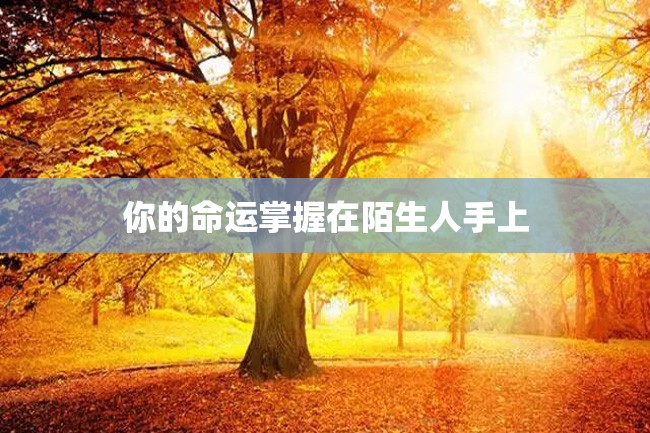 你的命运掌握在陌生人手上