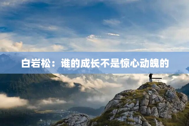 白岩松:谁的成长不是惊心动魄的
