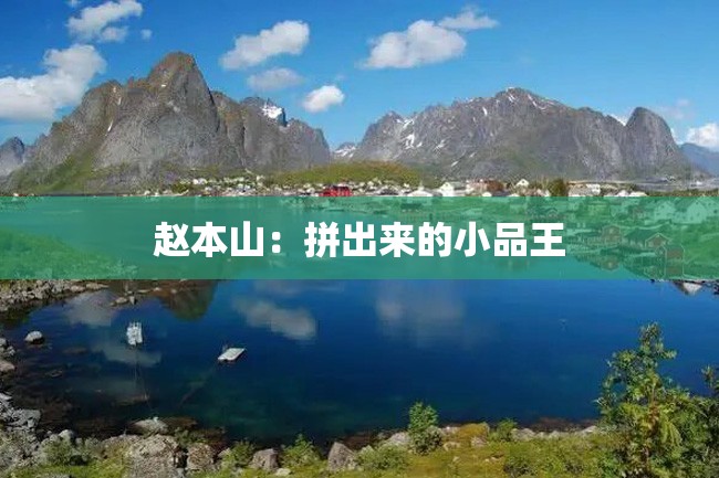 赵本山:拼出来的小品王