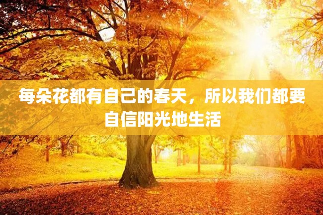 每朵花都有自己的春天,所以我们都要自信阳光地生活