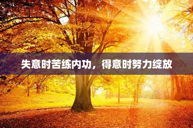 失意时苦练内功,得意时努力绽放