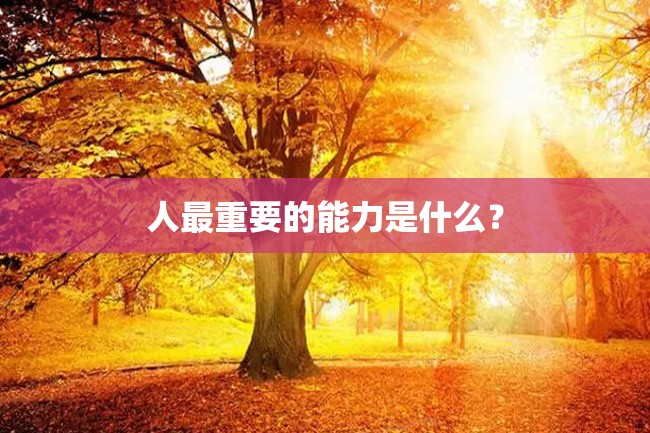 人最重要的能力是什么?