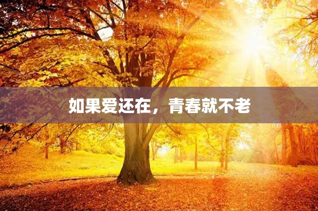 如果爱还在,青春就不老