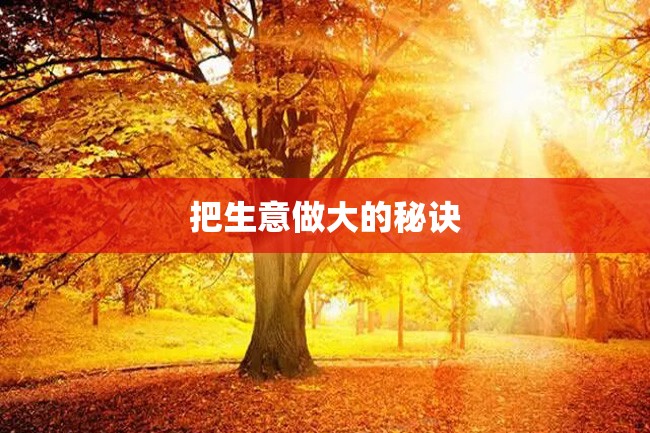 把生意做大的秘诀