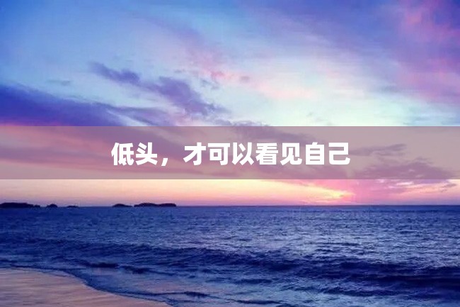 低头,才可以看见自己
