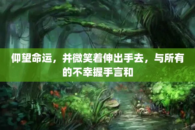 仰望命运,并微笑着伸出手去,与所有的不幸握手言和