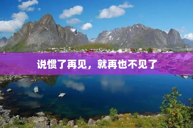 说惯了再见,就再也不见了