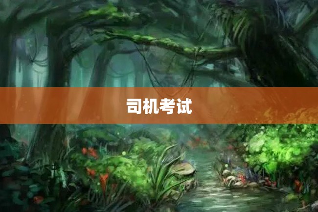 司机考试