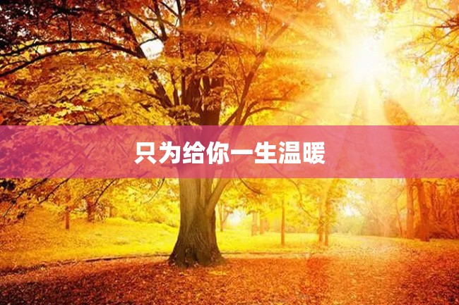 只为给你一生温暖