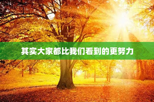 其实大家都比我们看到的更努力