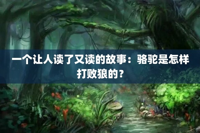 一个让人读了又读的故事:骆驼是怎样打败狼的?