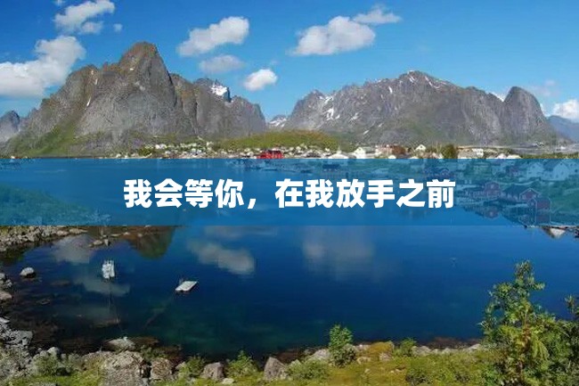 我会等你，在我放手之前