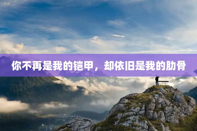 你不再是我的铠甲,却依旧是我的肋骨