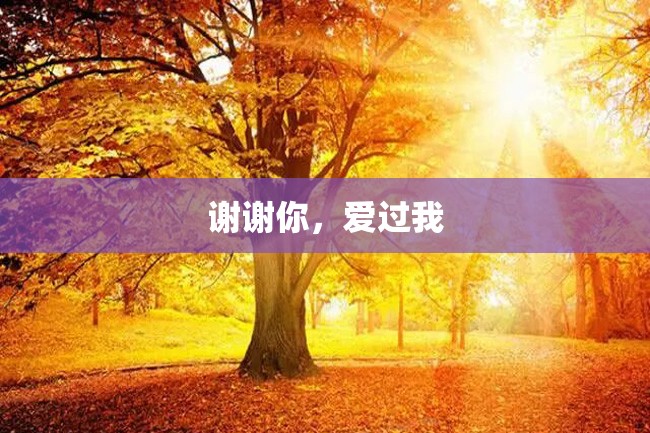 谢谢你,爱过我
