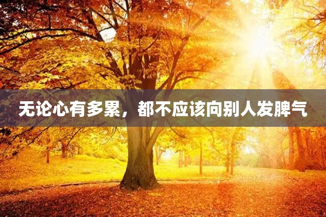 无论心有多累,都不应该向别人发脾气