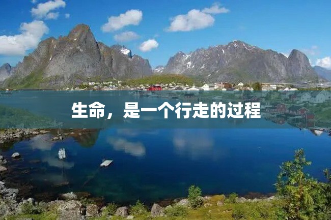 生命,是一个行走的过程